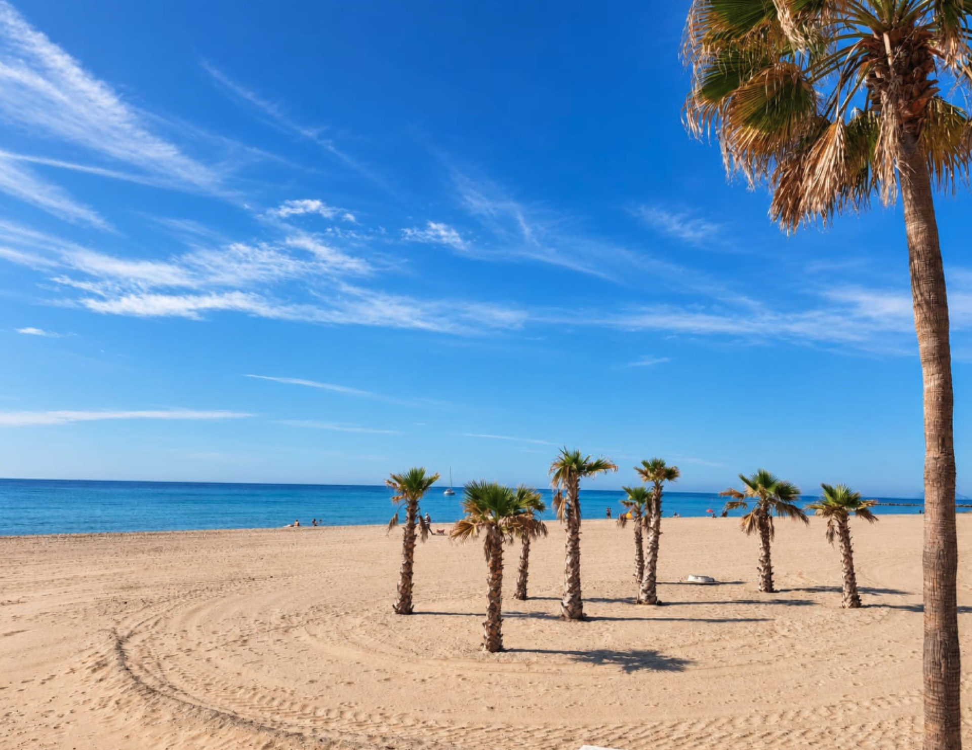 Beach and palm trees on the Costa del Sol